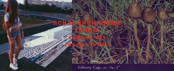 дурь Верхний Тагил