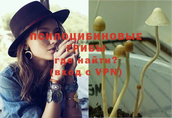 дурь Верхний Тагил
