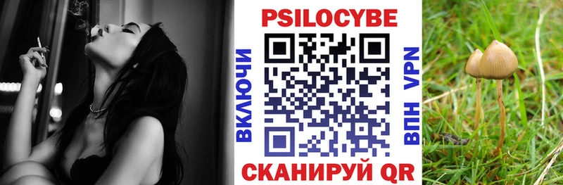 Псилоцибиновые грибы Psilocybe  что такое наркотик  Цоци-Юрт 